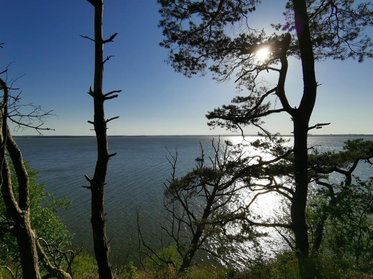 Apartment Waldblick Vom Naturhof Usedom Bannemin 외부 사진