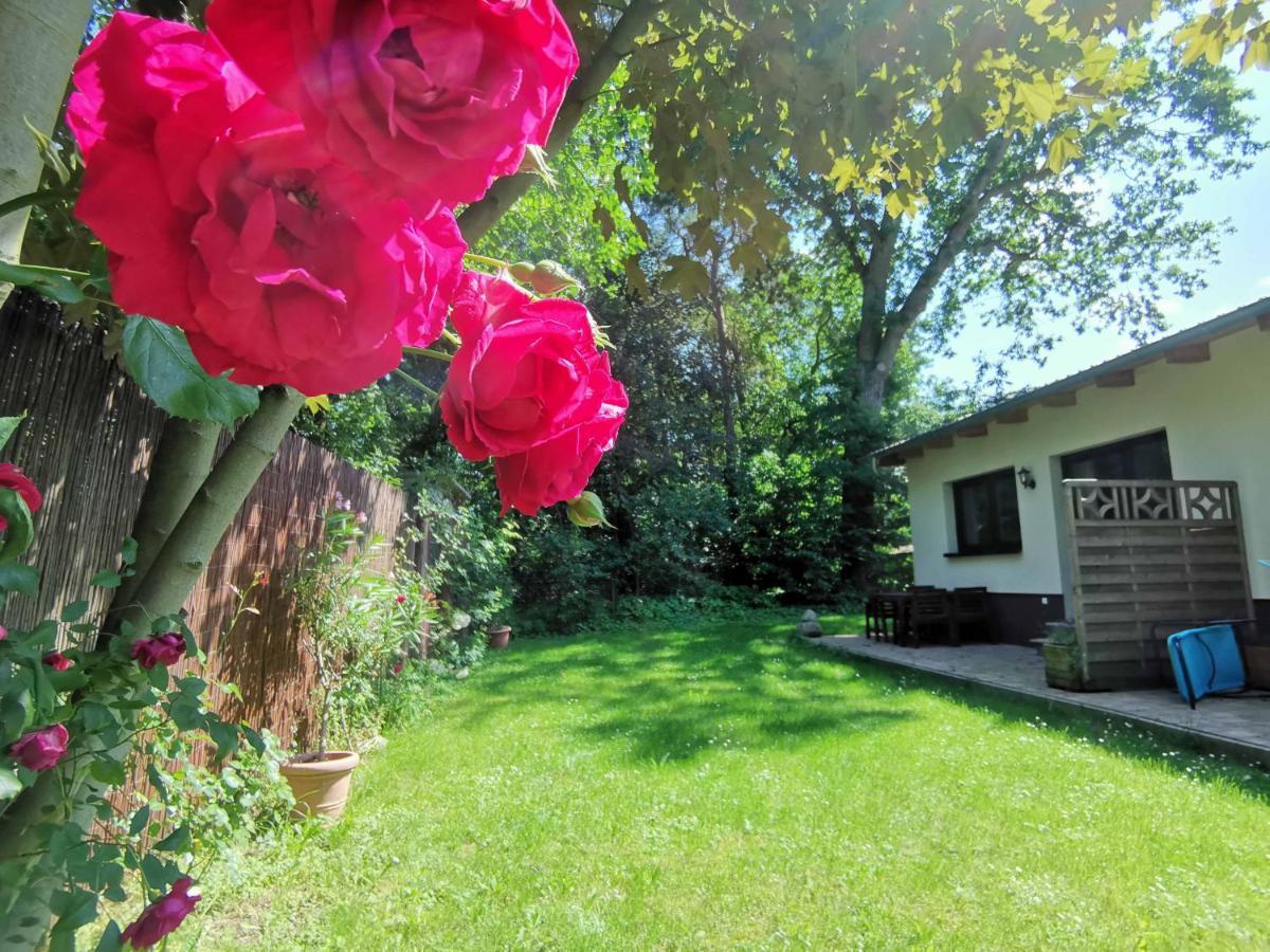 Apartment Waldblick Vom Naturhof Usedom Bannemin 외부 사진