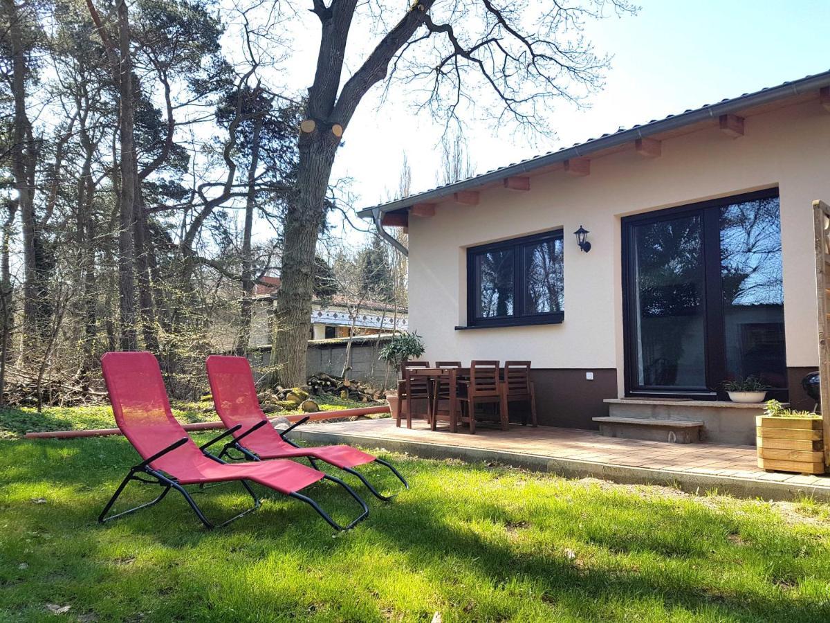 Apartment Waldblick Vom Naturhof Usedom Bannemin 외부 사진